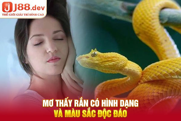 Mơ thấy rắn có hình dạng và màu sắc độc đáo